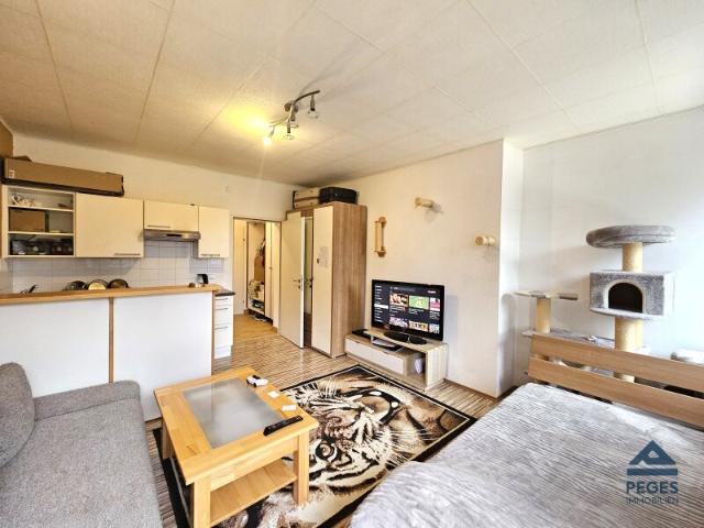 SINGLE: Garconniere in Grödig