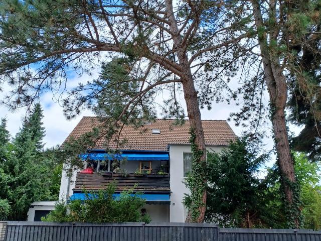 Single DG Wohnung
