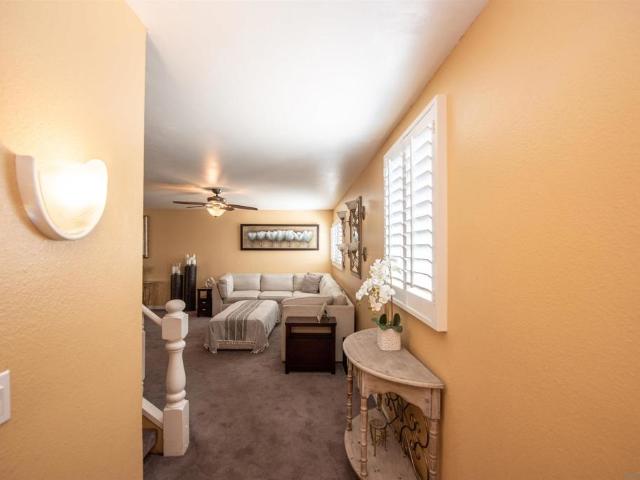 335 Dolo St
