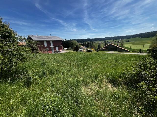 Single family house on sale in La Brévine | dreamo. Ch