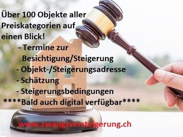 Single family house on sale in Solothurn Ref 21090408185 | dreamo. Ch