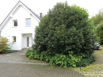 Eschdorf, Schönfeld-Weißig