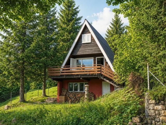 Single family house with 3 rooms on sale in Alpthal | dreamo. Ch