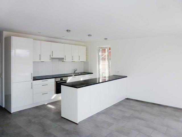 Single family house with 28.5 rooms on sale in Dornach 568 m² | dreamo. Ch