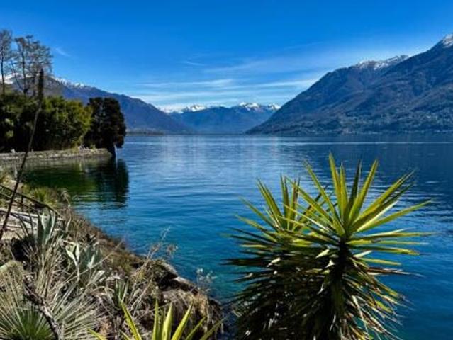 Single family house with 7.5 rooms for rent in Belmont sur Lausanne 315 m² | dreamo. Ch