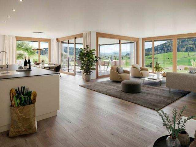 Single family house with 6.5 rooms on sale in Aadorf 323 m² | dreamo. Ch