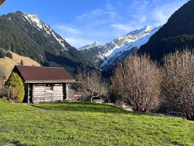 Single family house with 6.5 rooms on sale in L'Etivaz 162 m² | dreamo. Ch