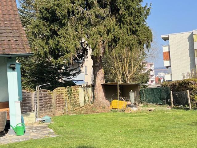 Single family house with 6.5 rooms on sale in Wohlen AG 145 m² | dreamo. Ch