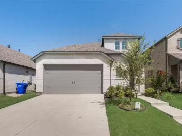 Collin County, Texas, USA - Patio, Garden