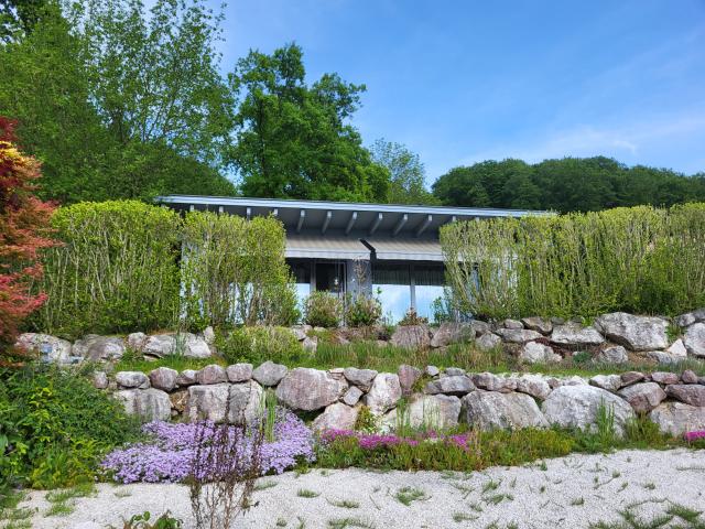 Single oder Pärchenbungalow am Waldrand
