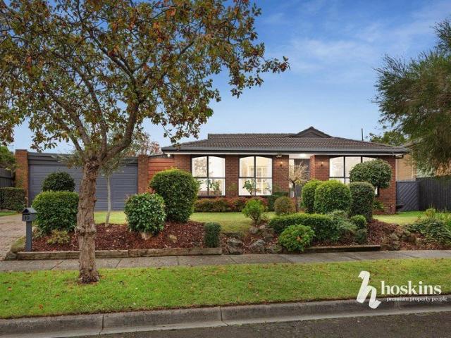 Single Level Family Living on Great Size Block