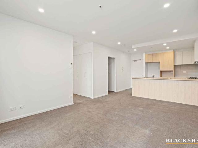 Single Level Living with large courtyard