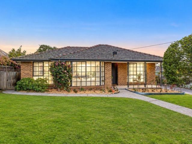 Single Level Sophistication on 439m² in Prime Burwood!