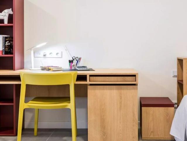 Single Studio Room Cartuja Half board included