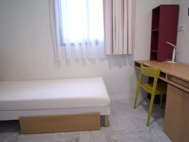 Single Room Cartuja Half board included
