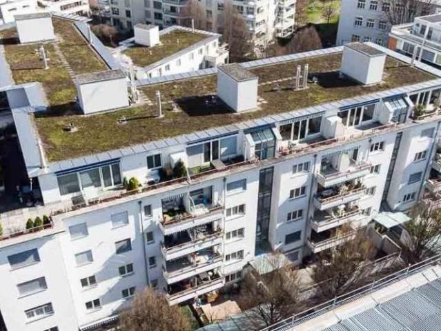 Single Wohnung sucht neuen Mieter