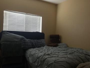 Vineyard, Elk Grove CCD Sacramento County California, Sacramento County, California, USA