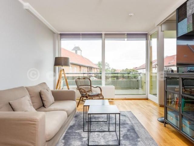 Single Urban Living