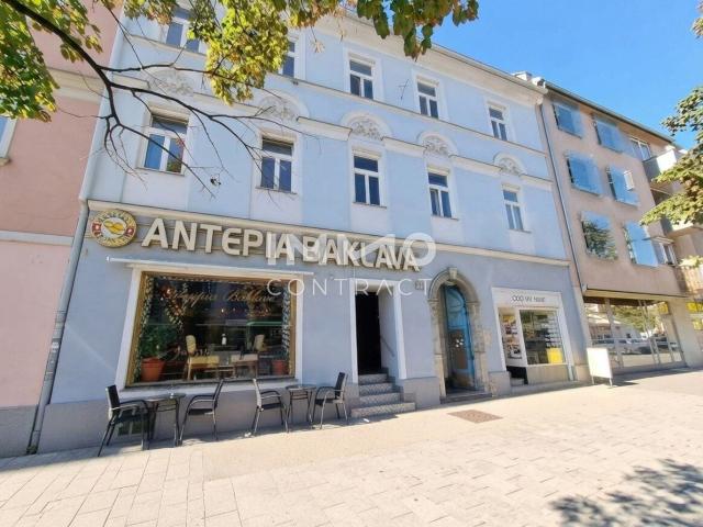 Singlehit in Ruhiger und Zentraler Lage | Ägydigasse 13