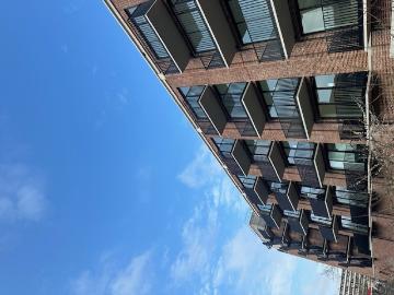 Singravenlaan, Arnhem