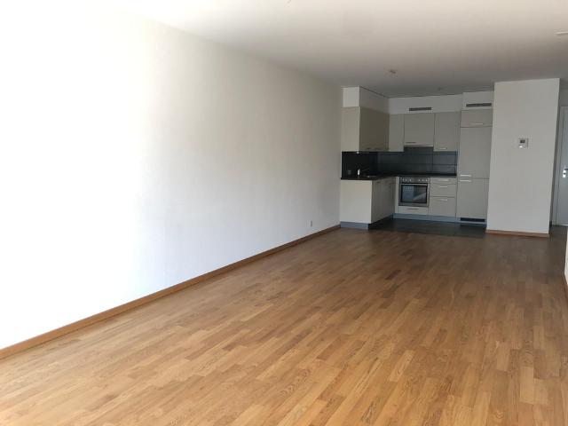SION SPACIEUX APPARTEMENT DE 2.5PCES