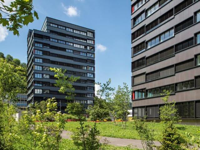 Sie lieben das Luxuriöse?