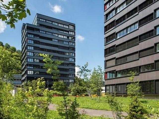 Sie lieben das Luxuriöse?