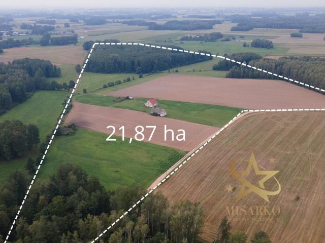 Polecam siedlisko 21,87 ha z domem do remontu i lasem