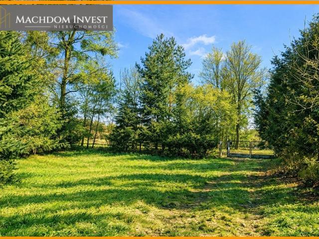 Siedlisko z potencjałem 6641 m², widoki i cisza