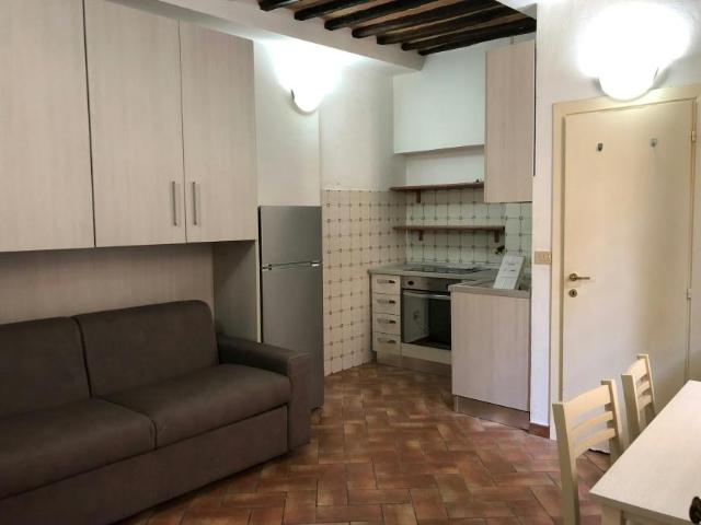 Siena Siena 53100 101852242