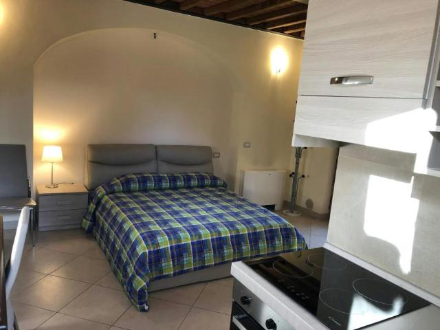 Siena Siena 53100 104784731