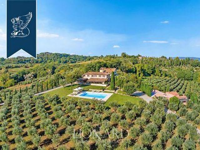 Siena Siena 96317111