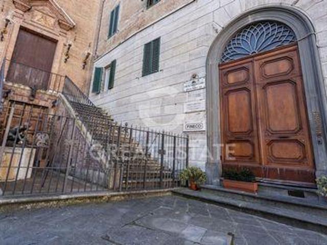 Siena Siena LS105413203