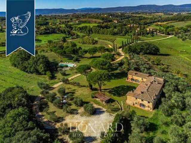 Siena Siena LS96317475