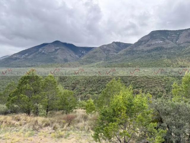 Sierra de Arteaga