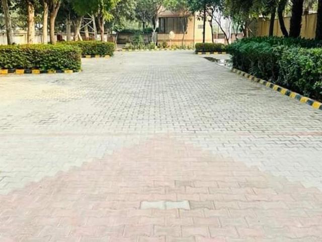 Signature Global Synera 3 Bedroom 800 Sq. Ft. Apartment in Sector 81 Gurgaon Listing ID: #10127