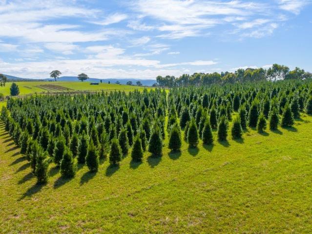 Significant 140 Acre Holding with Water Licence & Dual Titles