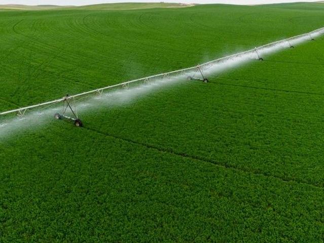 Significant Coorong District Dairy & Irrigation Opportunity