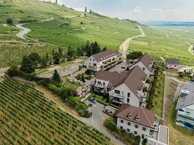 Sigolsheim 68240 Programme neuf appartement neuf à vendre t3 PTZ+ LMNP Pinel Pinel Plus