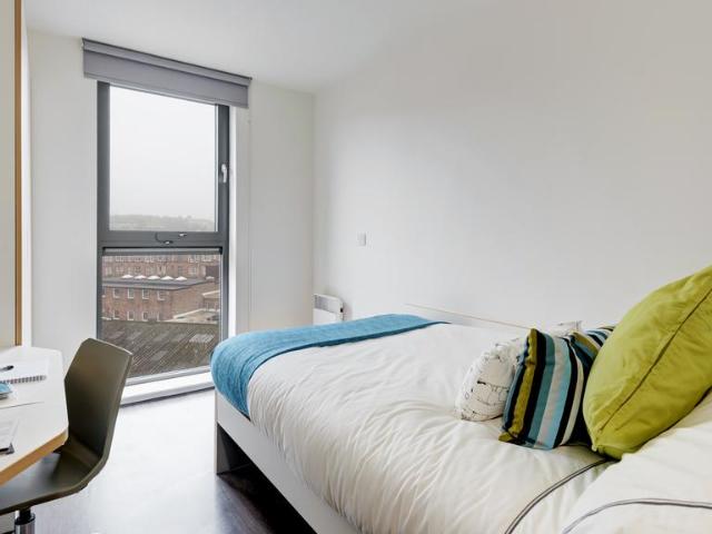 Silver En Suite at Dunaskin Mill, 5. 1 bed private hall to rent £997 pcm £230 pw