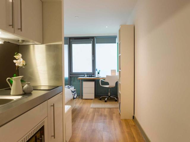 Silver Studio Upper Level Premium View Has an Apartment