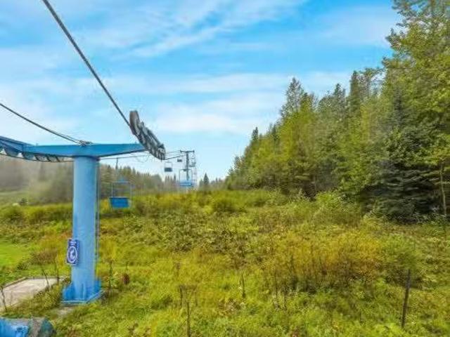 Silver Summit Road, Glenevis, AB, T0E 1A0 commercial for sal.