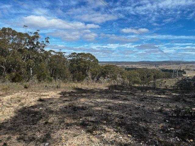 Silver Ridge 240 Acres with Shed