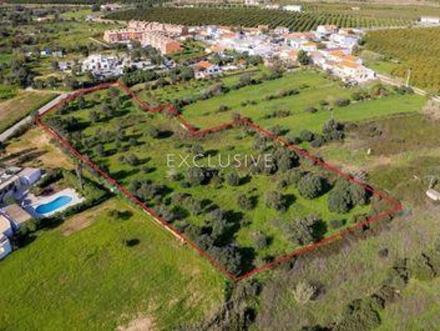 Silves Faro 96330733