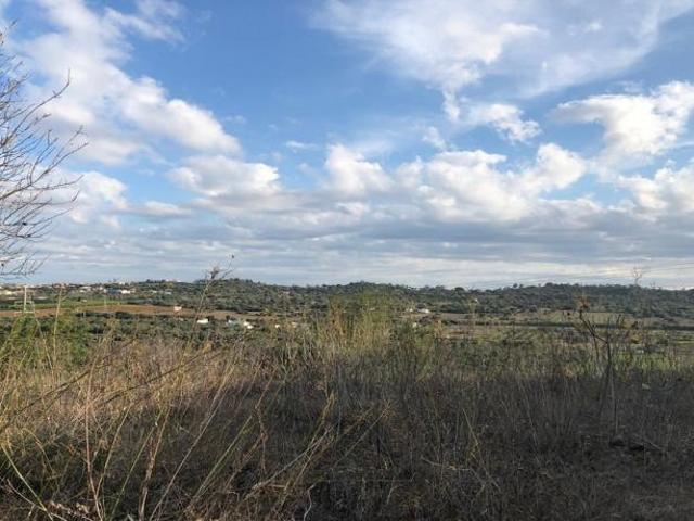 Silves Faro 98215325