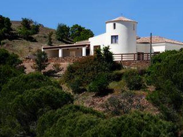 Silves Faro 105882619
