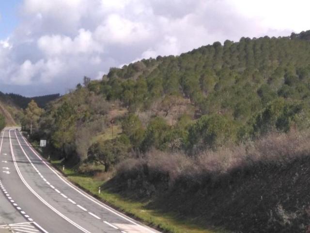 Silves Silves 105307412