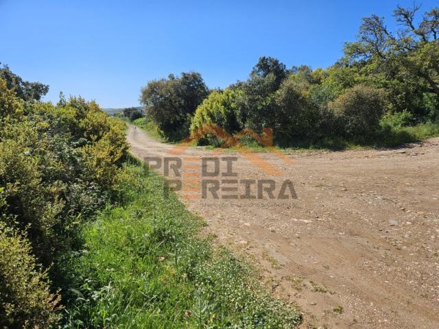 Situado em Pintéus/Loures Terreno rústico com 320 m2 Excelente investimento