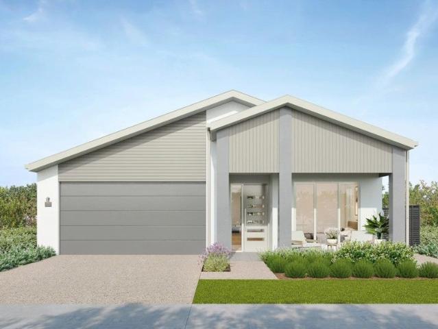 Site 25 | Springbrook