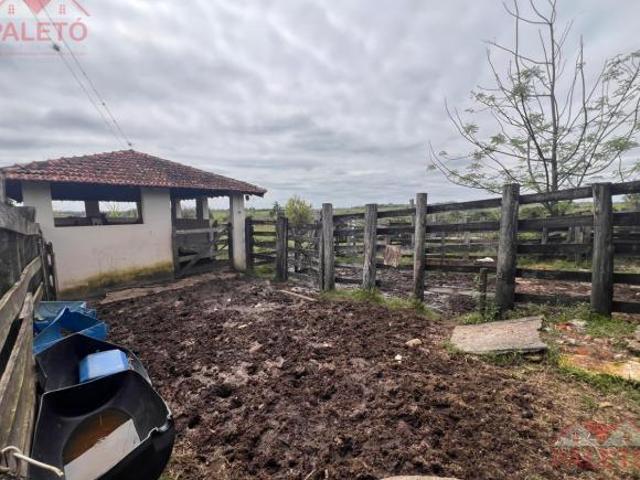 Sítio 43 hectares com boa topografia, a venda na cidade de Porangaba interior de sp
